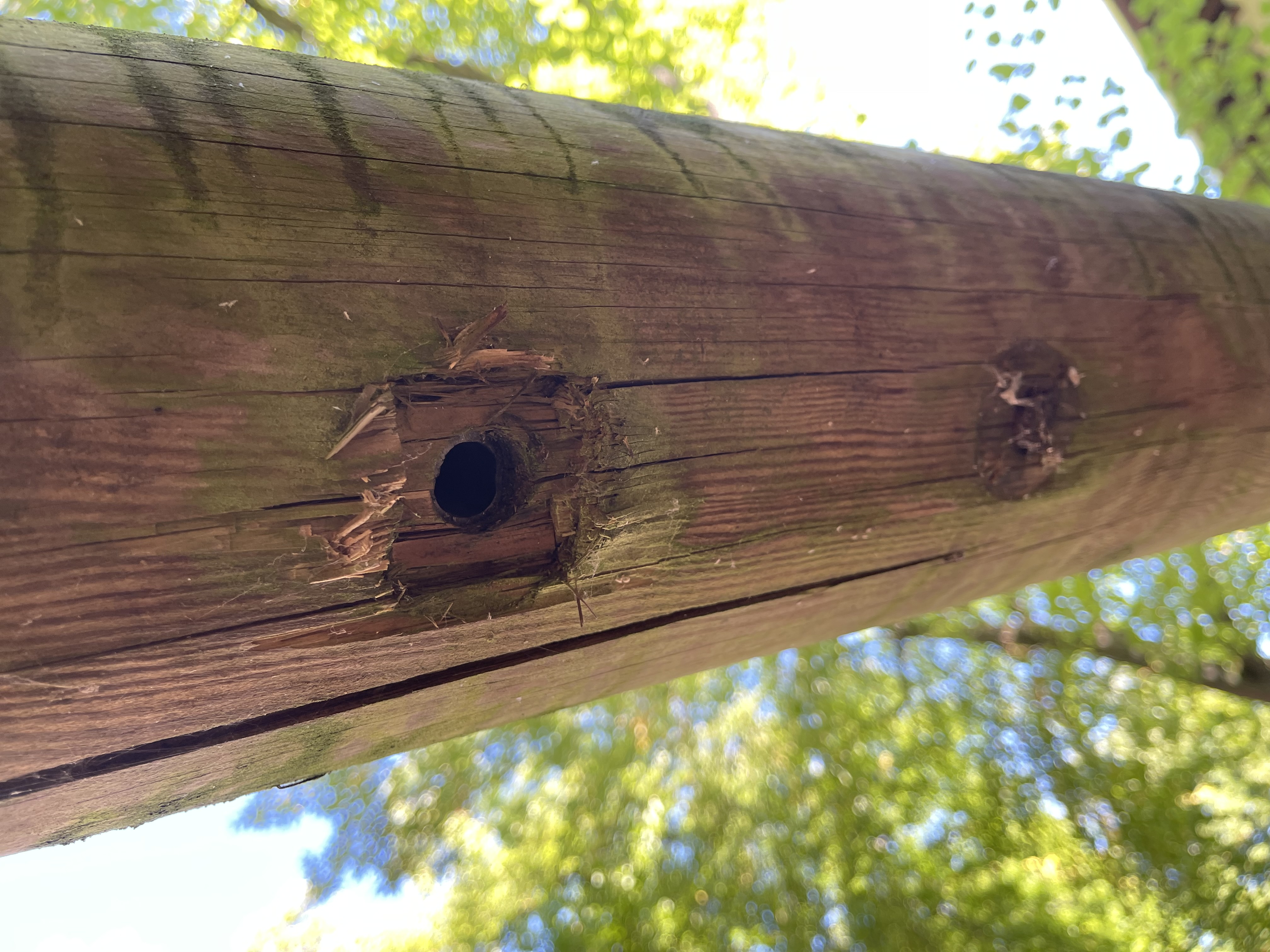 Spielplatzprüfungen